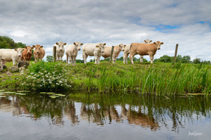 1 day agriculture tour -  May 18th 2025